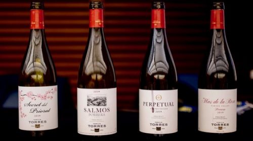 Añada 2019 vinos Torres Priorat