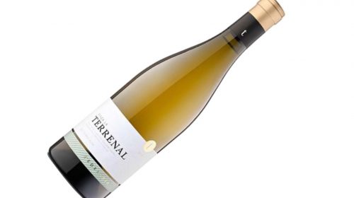 Vi blanc la terrenal d'Edetària