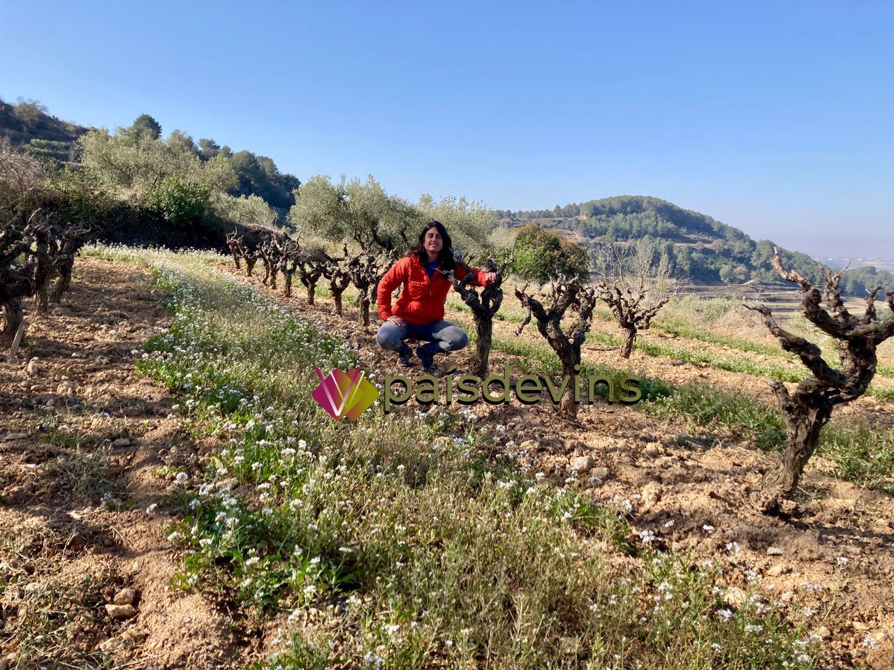 Celler enlaire penedes