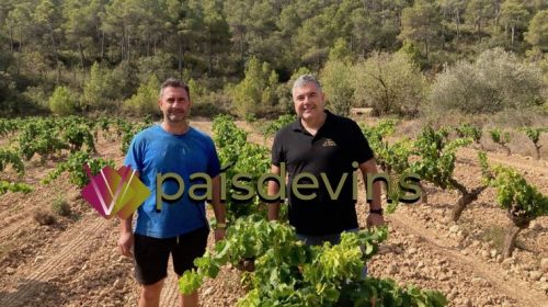 La-Bruixa-dels-Mudefes