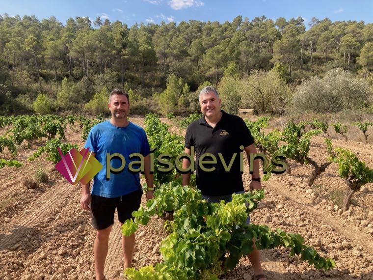 La-Bruixa-dels-Mudefes