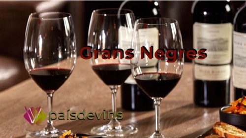 Vins-Negres