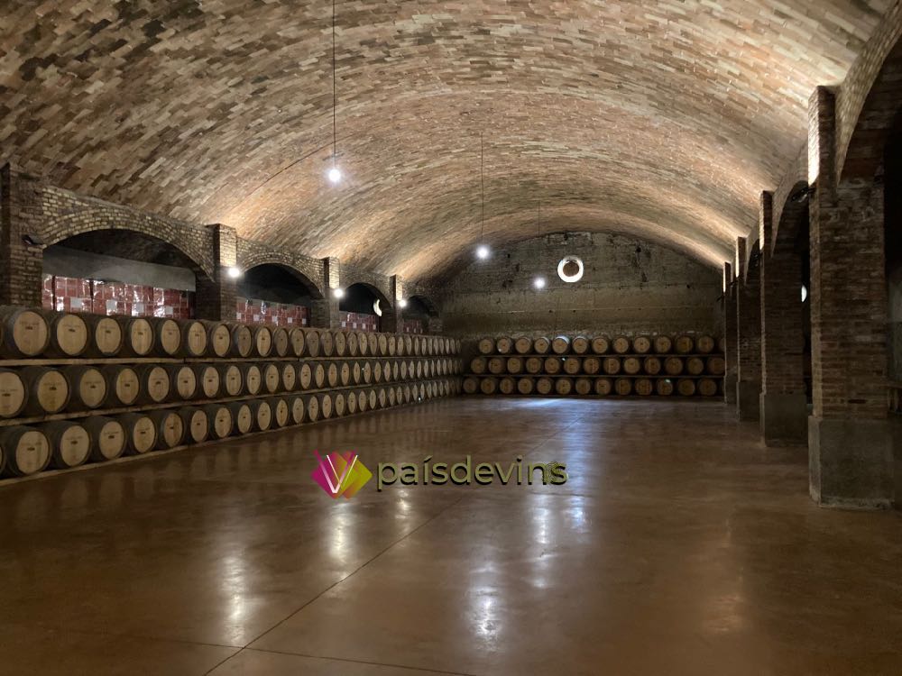 Castell del Remei-Enoturisme-Costers-del-segre