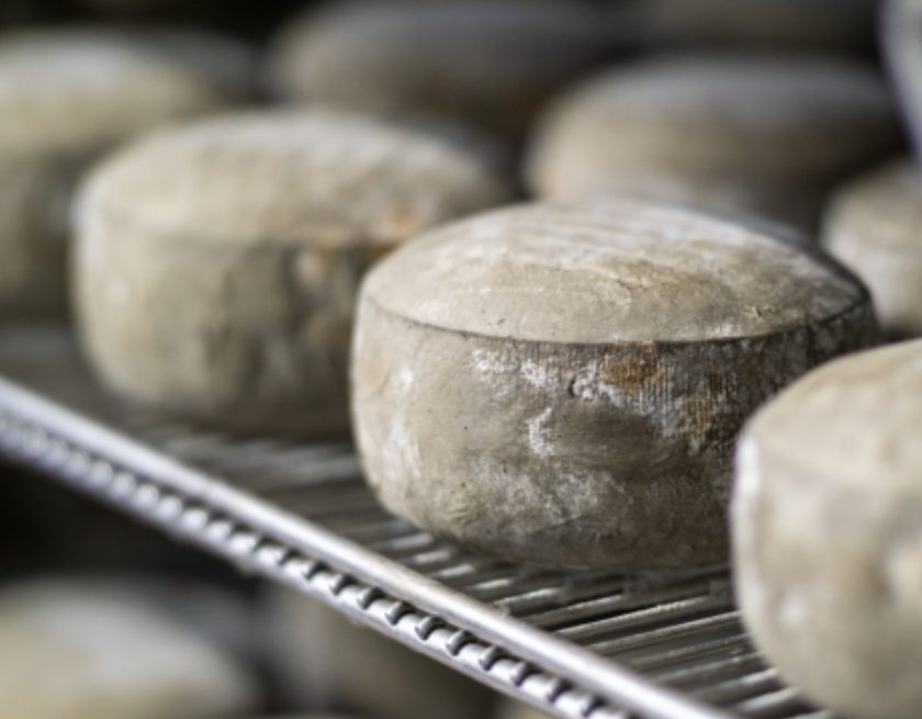 Formatges artesans de Mas El garet tona