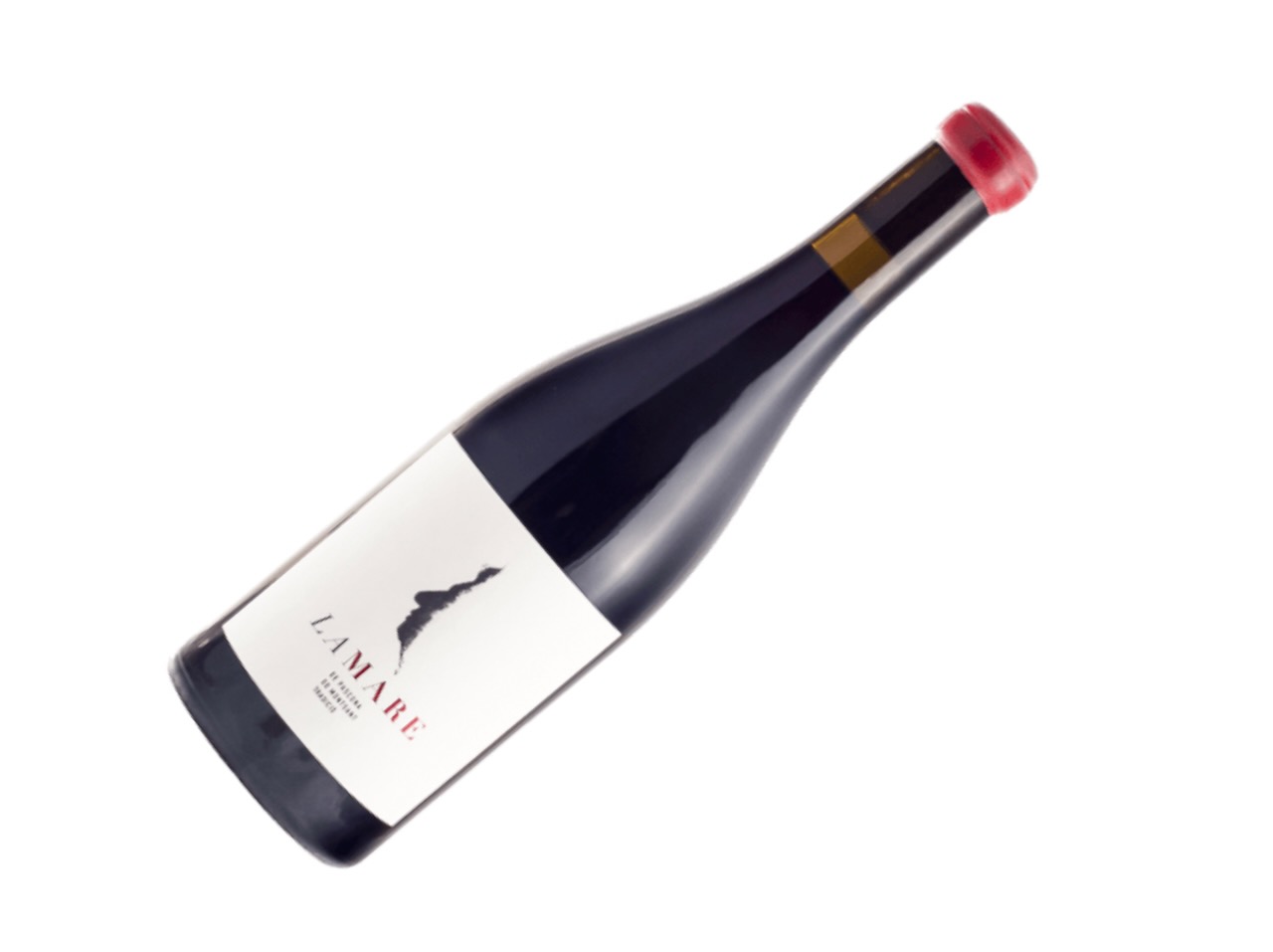 VI LA MARE DE CELLER PASCONA DO MONTSANT