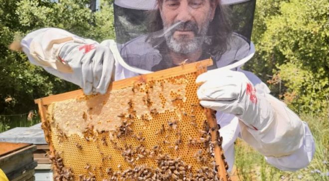 Mel-de-l-avi-joan-Olvan-bergueda-mel-artesana