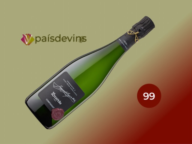 RECAREDO-HOMENATGE-JOSEP-MATA-CAPELLADES-CORPINNAT