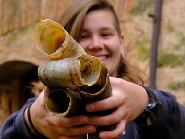 Vins Desantesos Ari Servelló