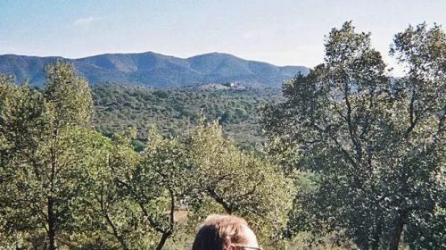 Vinyes de Rim Celler Empordà