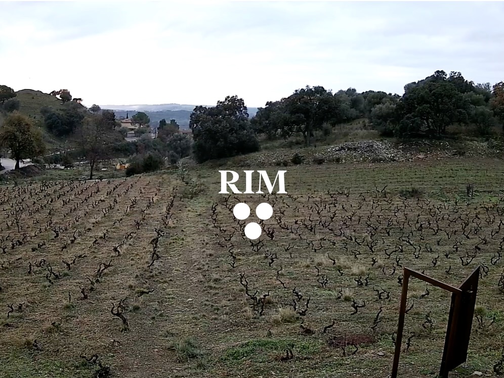 Rim Celler Empordà