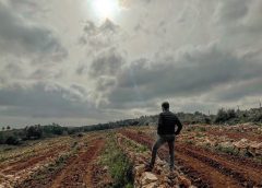 Sicus Vins del Massís de Bonastre