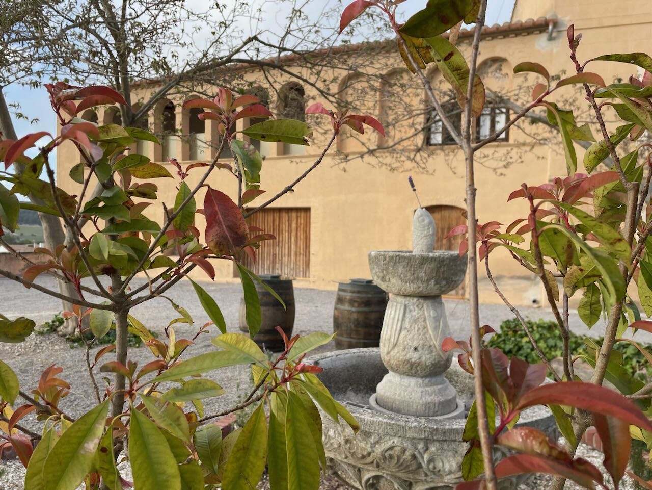 Can Lleó de vilanoveta enoturisme