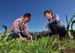 Celler Castell d’Age