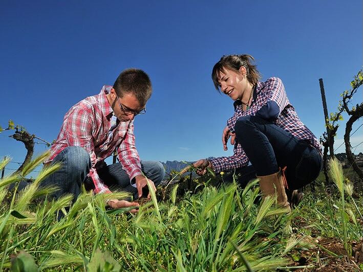 castell d'Age Penedès