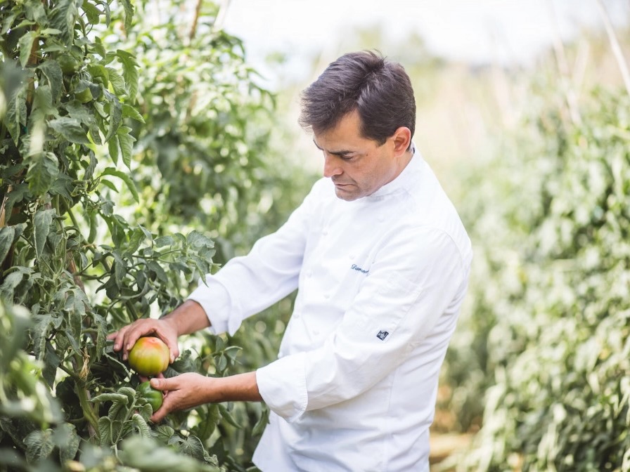 David Romero HOtel Majestic