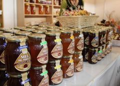 Firabril del Perelló