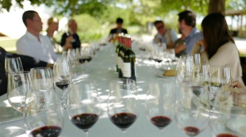 Guia-enoturisme-cultura-del-vi