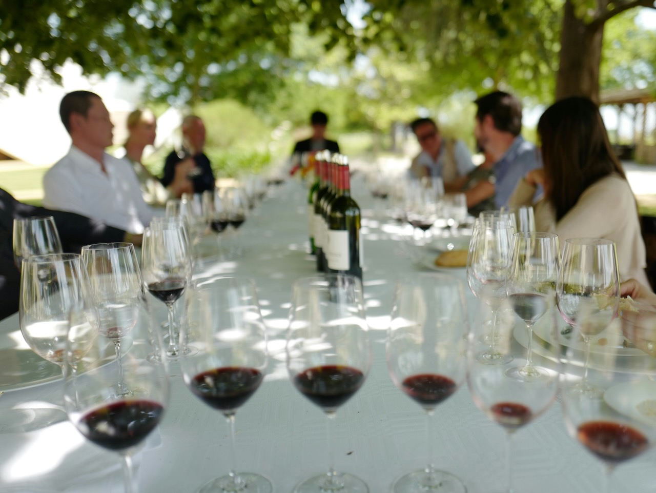 Guia-enoturisme-cultura-del-vi