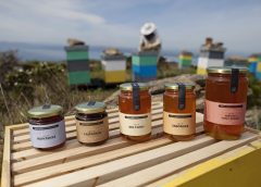 Mel, territori i apicultura a l’Empordà